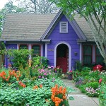 cottage garden purple house spring flowers