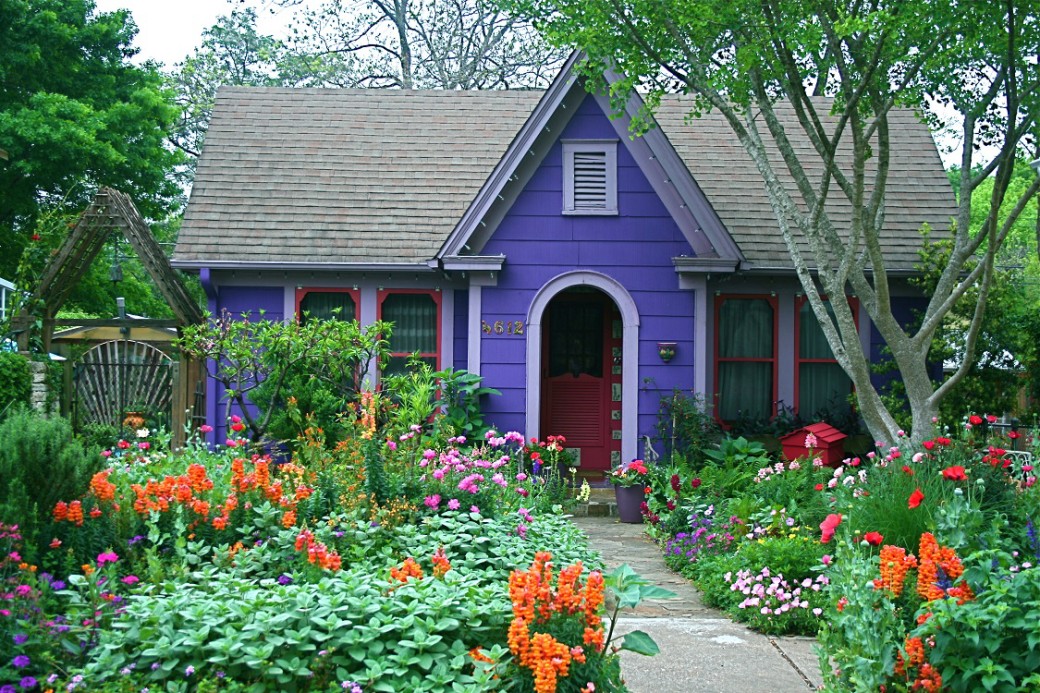 cottage garden purple house spring flowers