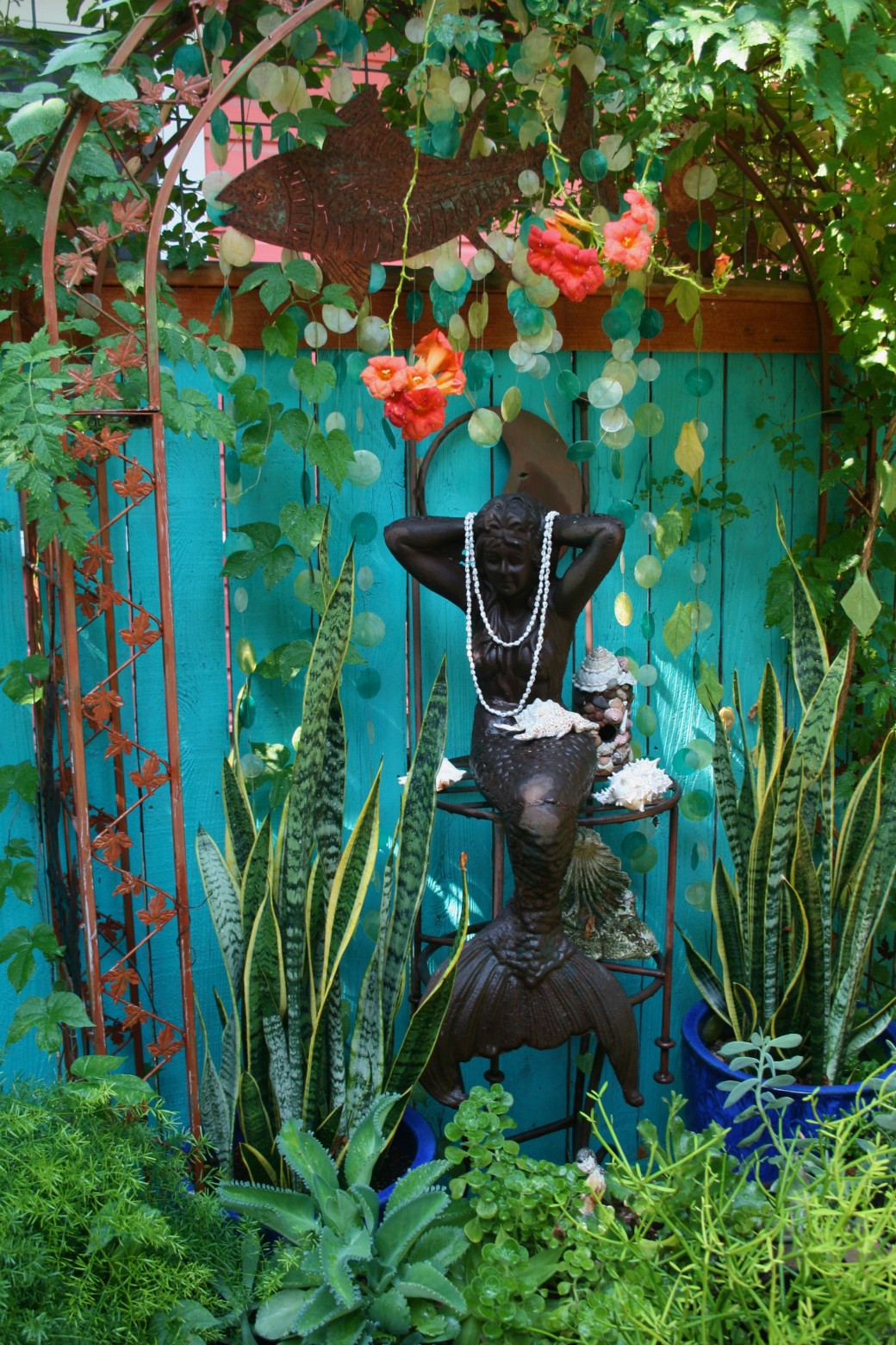 mermaid altar succulents