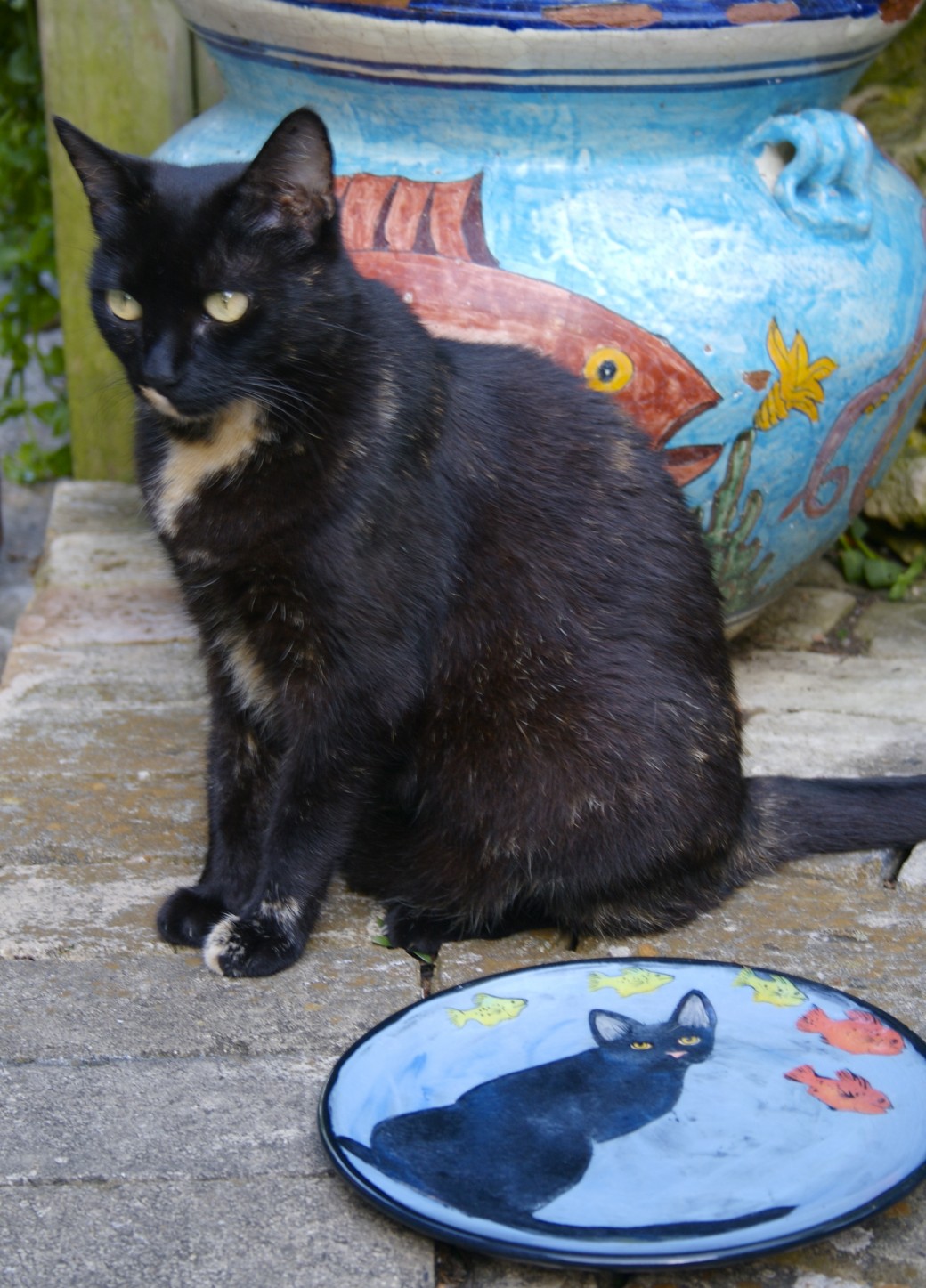 cat fish hand-painted ceramic plate fishpond
