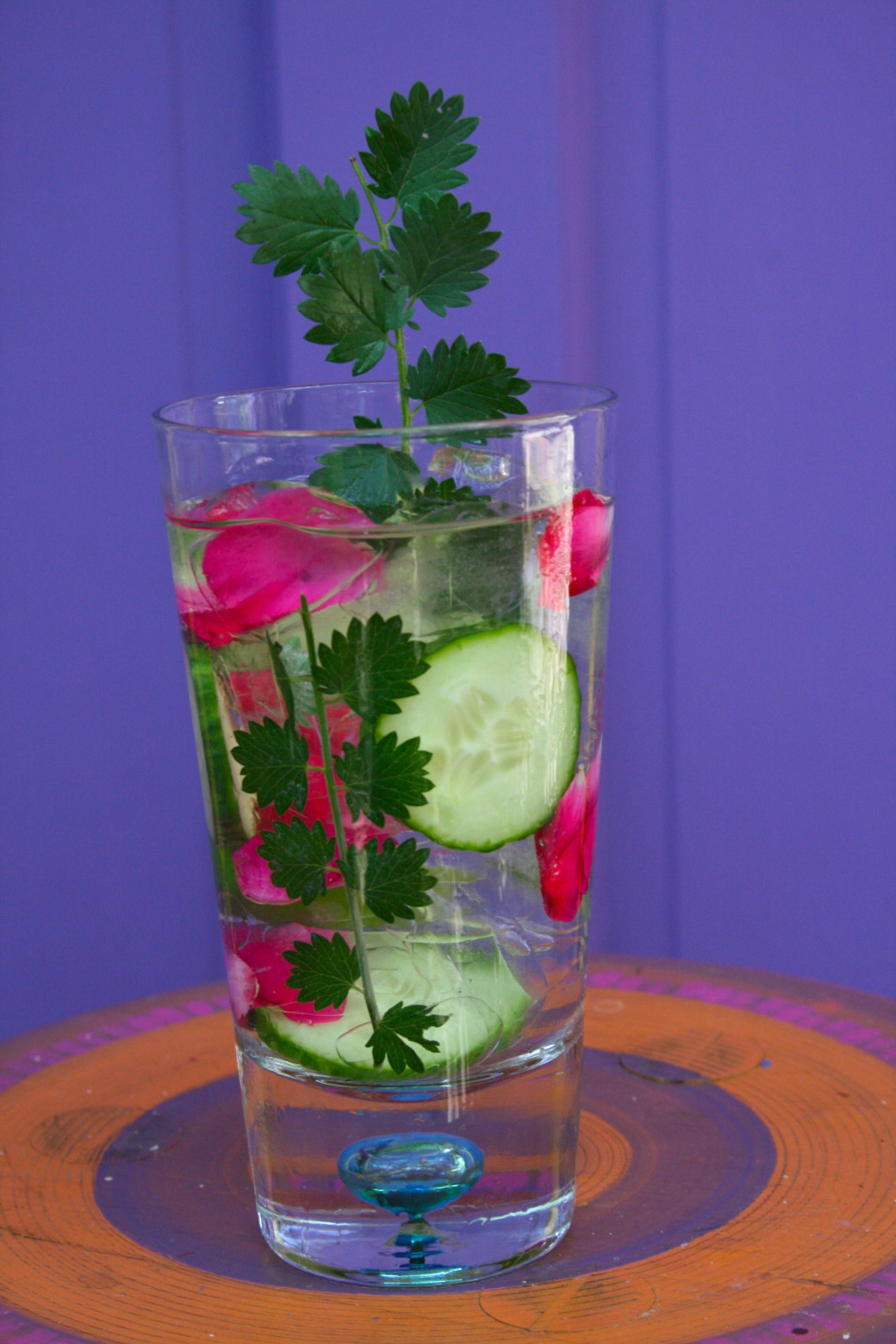 gin and tonic cucumber salad burnet spritzer